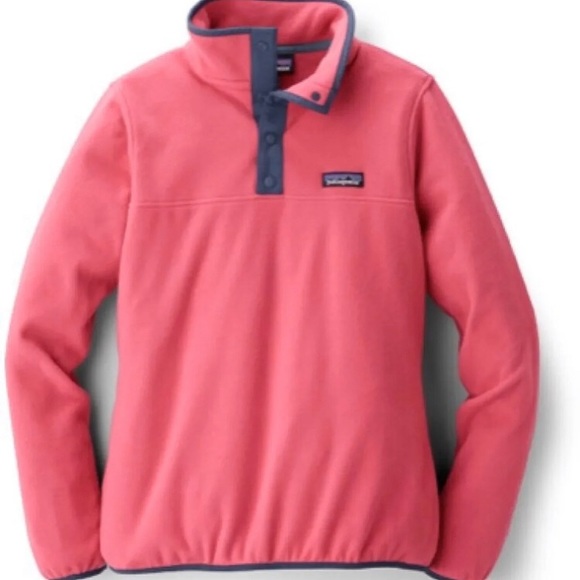 Patagonia Sweaters - 🔥 Patagonia Micro D Snap-T Fleece Pullover